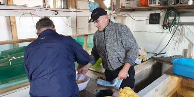 Prva tura mrijesta u 2020. godini