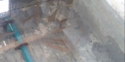 Hranjenje mlađ mladice